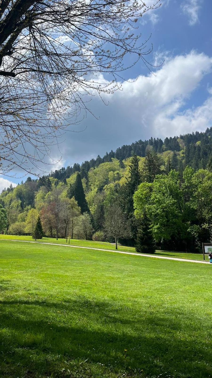 Appt Lumineux, Thermes Et Montagne Bourboule Zewnętrze zdjęcie