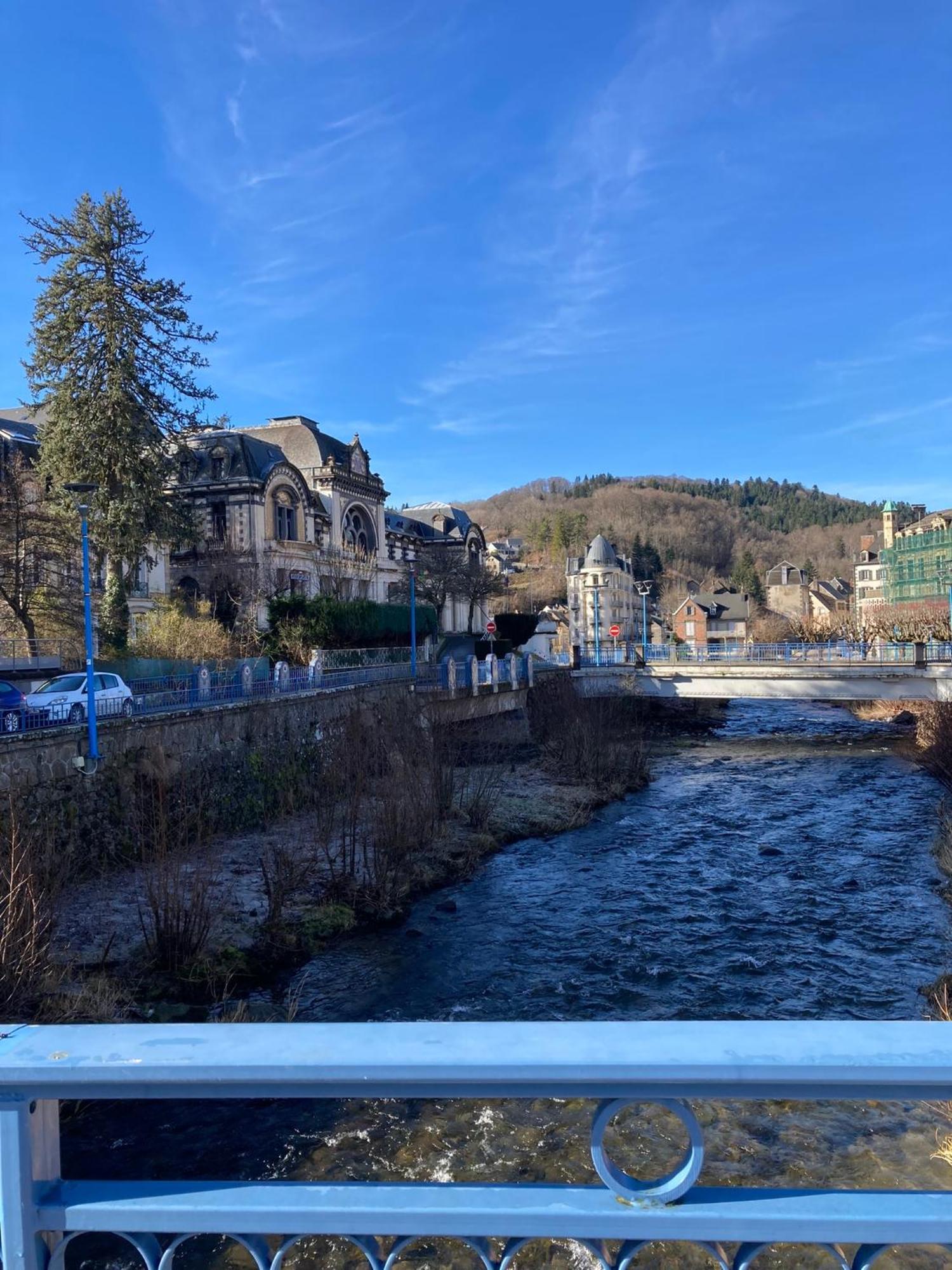 Appt Lumineux, Thermes Et Montagne Bourboule Zewnętrze zdjęcie