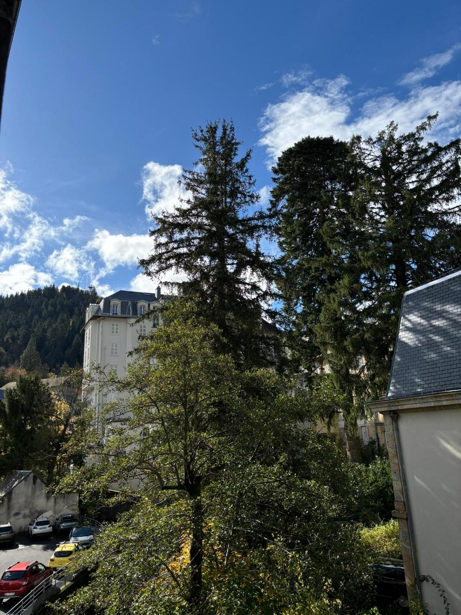 Appt Lumineux, Thermes Et Montagne Bourboule Zewnętrze zdjęcie